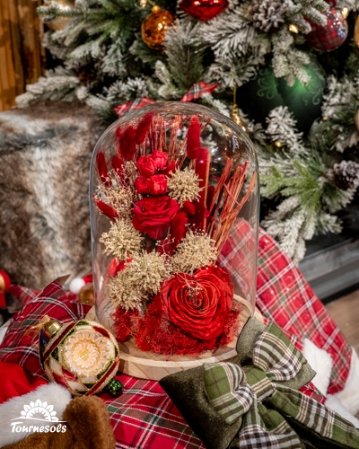 Arrangement floral de roses éternelles rouges sous cloche avec décorations de Noël.